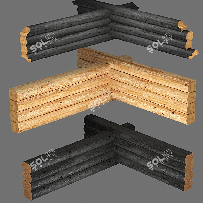 Stained Logs with Various Sections 3D model image 6