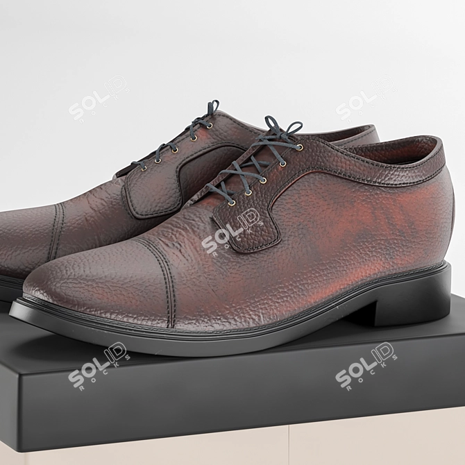 Title: Sleek Convertible Shoes 3D model image 3