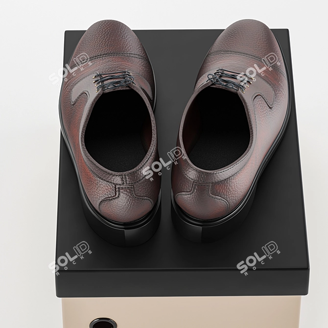 Title: Sleek Convertible Shoes 3D model image 4