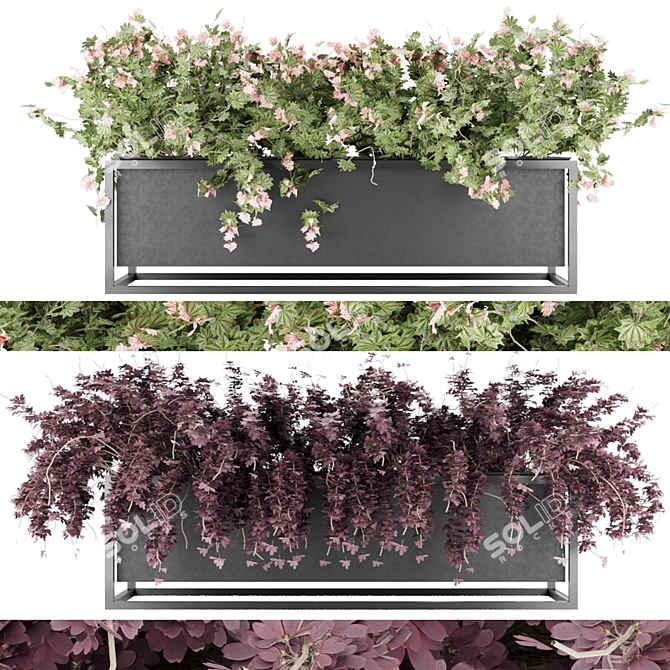 Volume 15 Plant Collection 3D model image 1