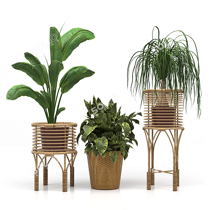 Eco-Friendly Indoor Plants Set 3D model image 3