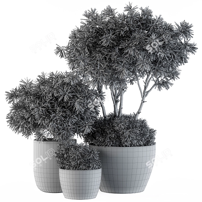 Concrete Pot Outdoor Tree Set 3D model image 5