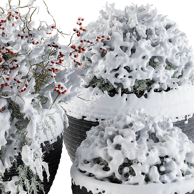 Snowy Outdoor Tree Set 3D model image 3