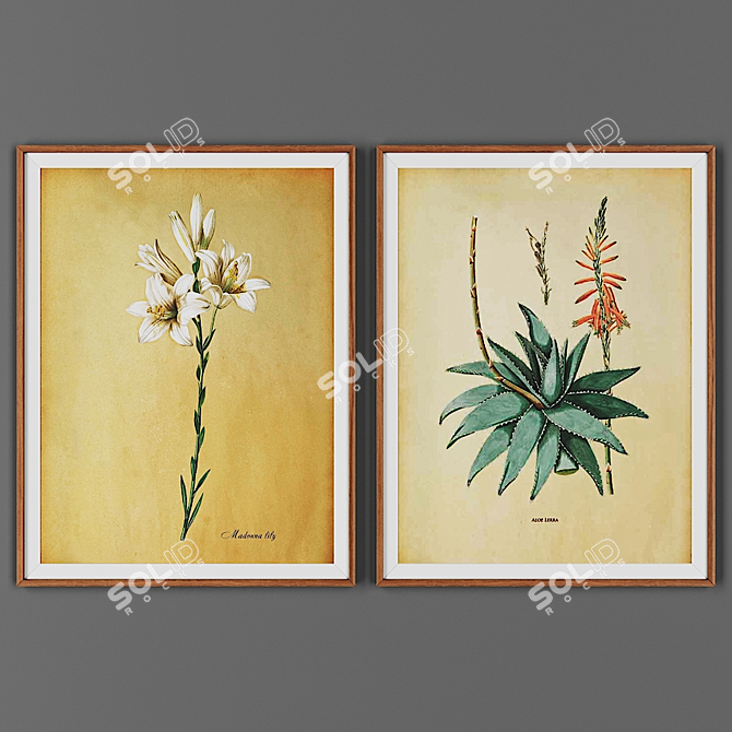 Wooden Frame Picture Collection 3D model image 1