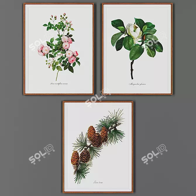 Wooden Frame Picture Set 3D model image 1