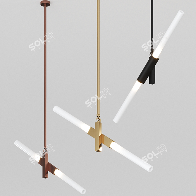 Agnes Pendant - Black | 2 Lights 3D model image 1