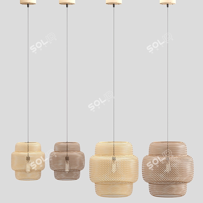 Handcrafted Rattan Pendant Lights 3D model image 3