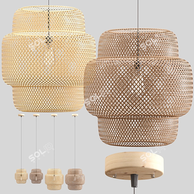 Handcrafted Rattan Pendant Lights 3D model image 5