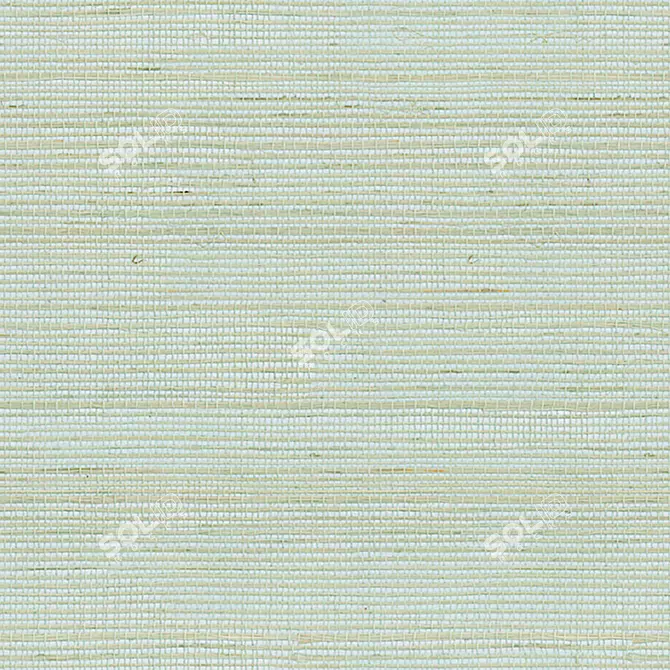 Supreme Sisal Collection SIS_001: 18-Piece Set of Textured Wallpaper 3D model image 2