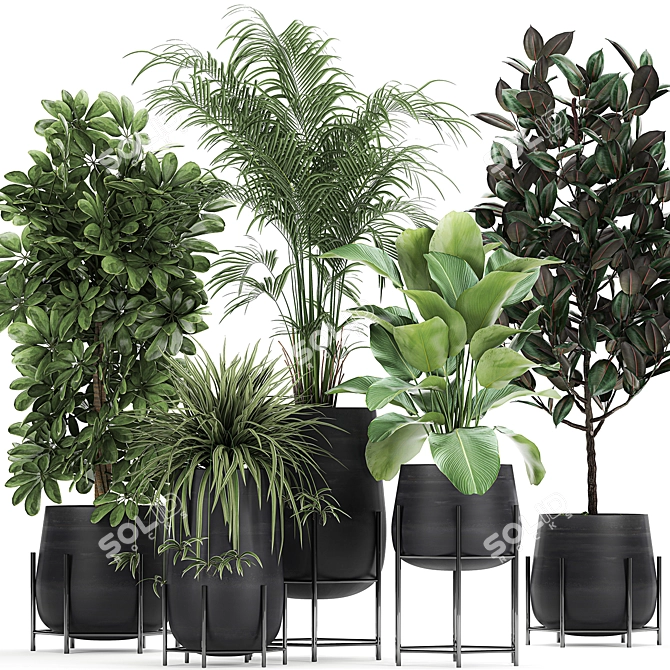 Exotic Plant Collection for Indoor and Outdoor - 769 3D model image 1