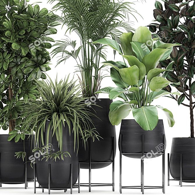 Exotic Plant Collection for Indoor and Outdoor - 769 3D model image 2