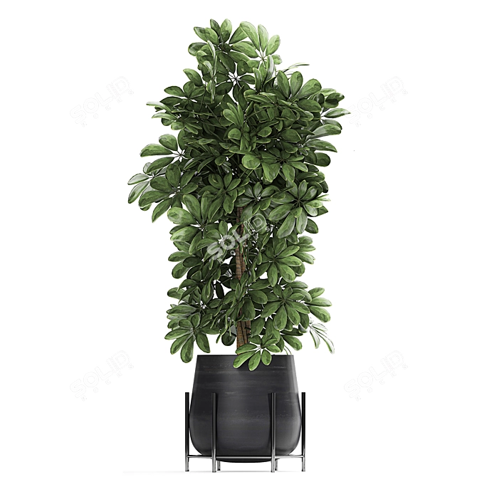 Exotic Plant Collection for Indoor and Outdoor - 769 3D model image 3