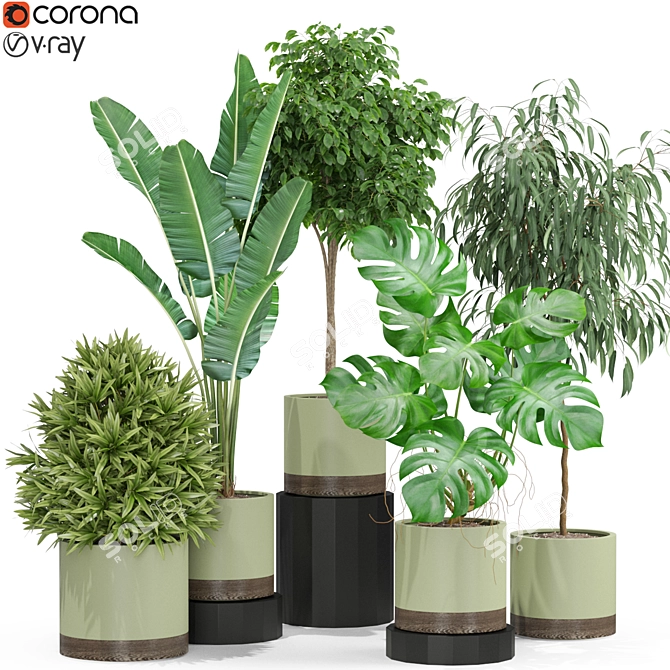 Botanical Bliss: 429 Plant Collection 3D model image 1