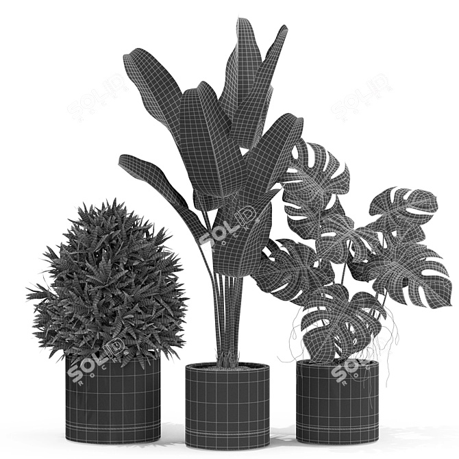 Botanical Bliss: 429 Plant Collection 3D model image 4