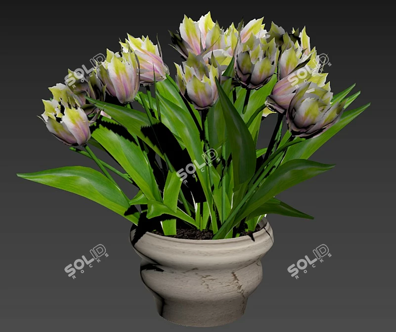 Blooming Tulips in Pot 3D model image 1