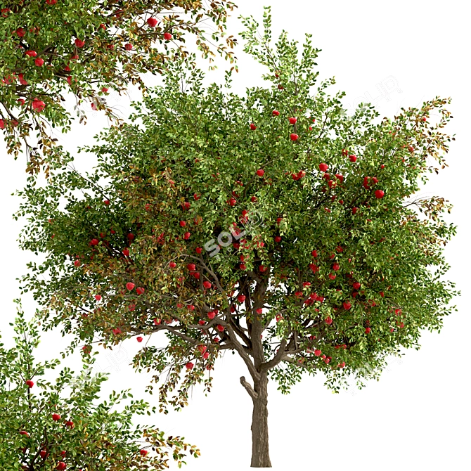 Dual Apple Tree Set 3D model image 1