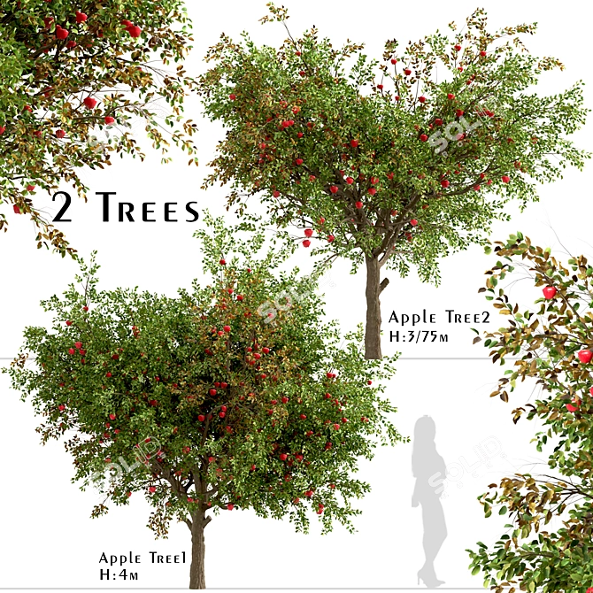 Dual Apple Tree Set 3D model image 2