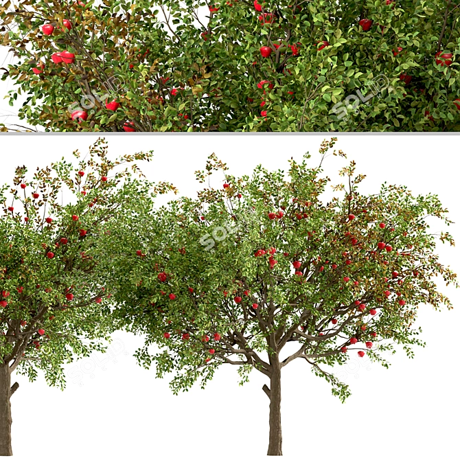 Dual Apple Tree Set 3D model image 5