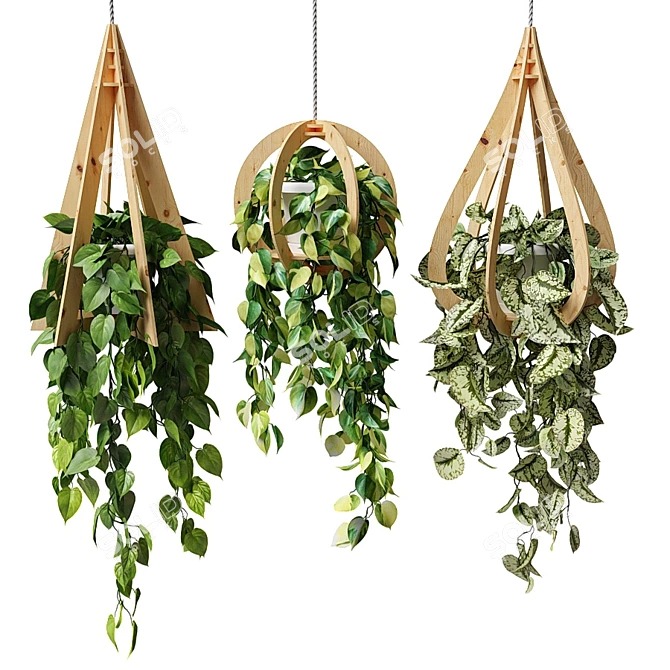 Hanging Wood Pots with Ampel Plants  3D model image 1