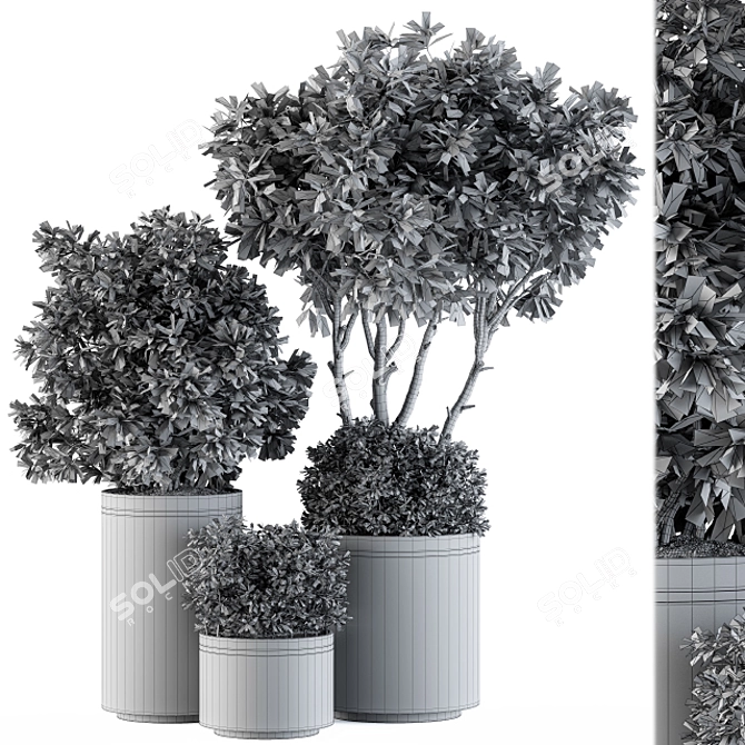 Elegant Indoor Plant Set: Black & Gold 3D model image 4