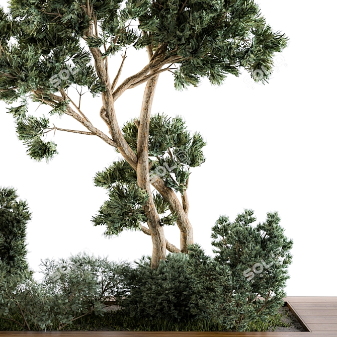 Greenery Bundle - Outdoor Garden Set 3D model image 2