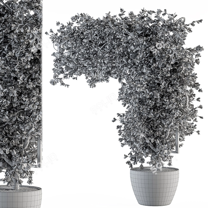 Ivy4Ever - Outdoor Plant Set 3D model image 5