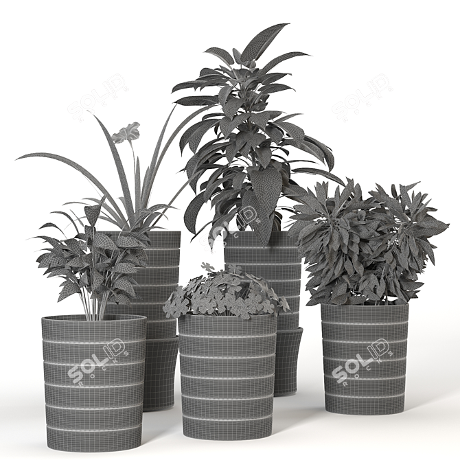 Stylish Indoor Plant Vases 3D model image 4