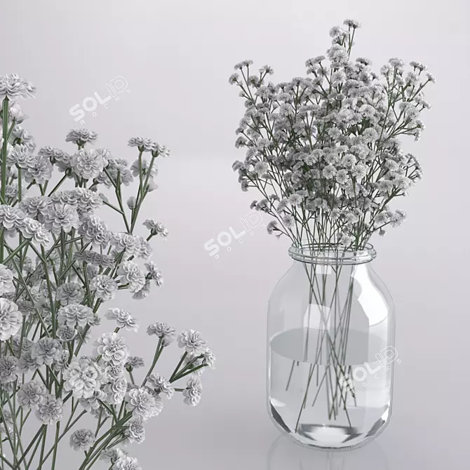 Whimsical Gypsophila Jar Bouquet 3D model image 1