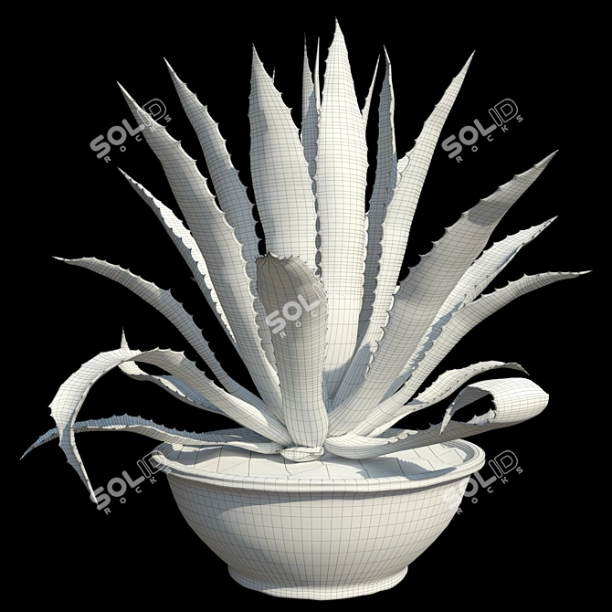 Title: American Blue Agave: Stunning Potted Plant 3D model image 4