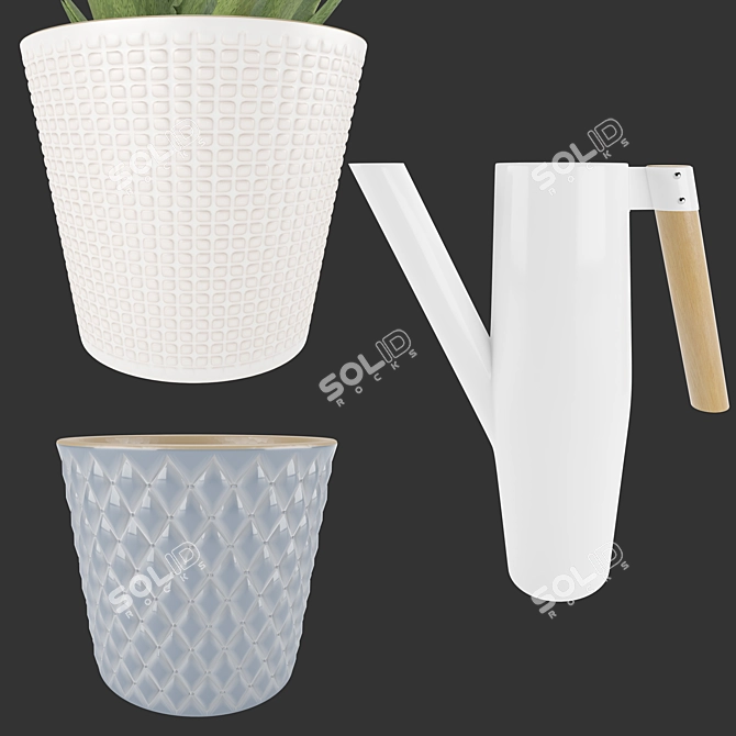 Soothing Set: Aloe Vera & Bittergurka Watering Can 3D model image 4