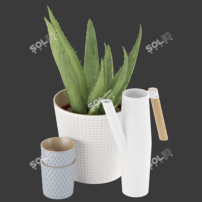 Soothing Set: Aloe Vera & Bittergurka Watering Can 3D model image 6