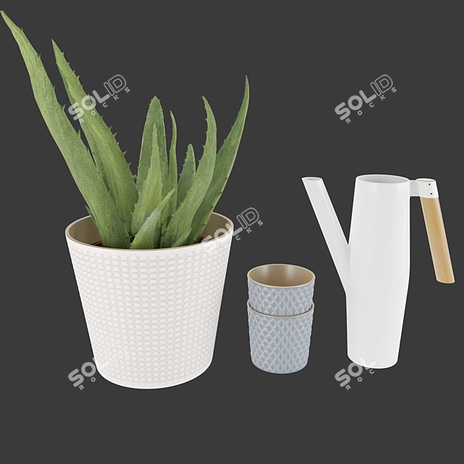Soothing Set: Aloe Vera & Bittergurka Watering Can 3D model image 8