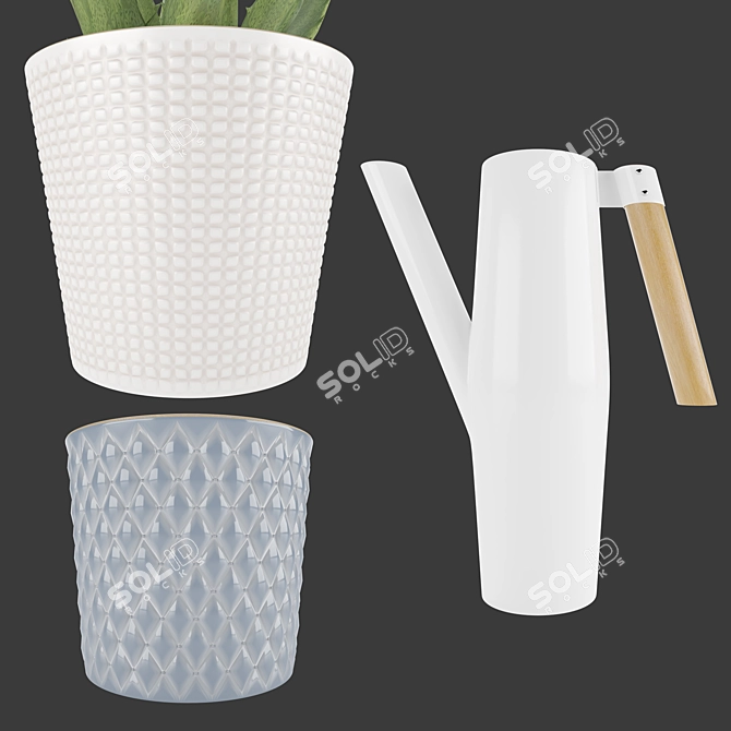 Soothing Set: Aloe Vera & Bittergurka Watering Can 3D model image 9