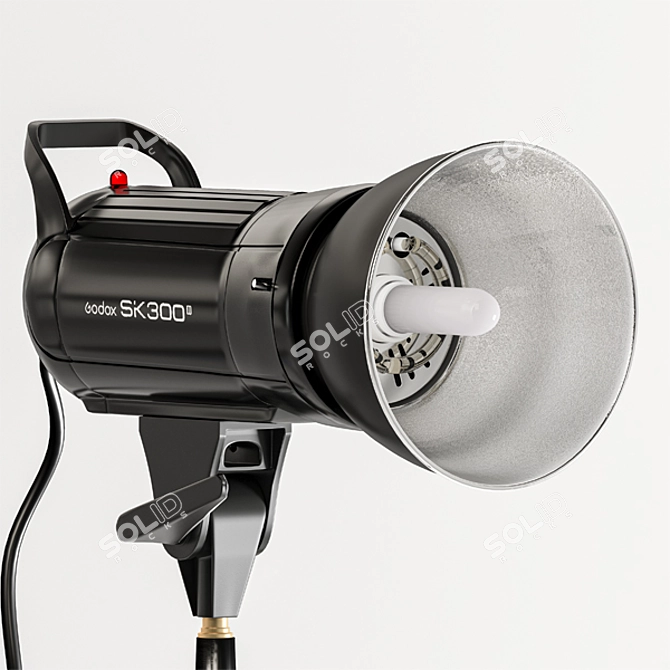 Godox SK300II: Versatile Lighting with Softbox & Beauty Dish 3D model image 2