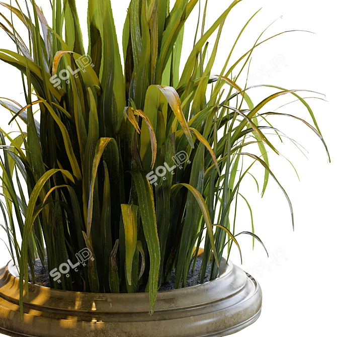 Stunning Outdoor Plants Collection 3D model image 2