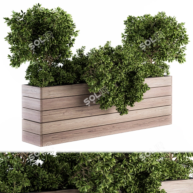  Rustic Wood Planter Set with Outdoor Plants 3D model image 1