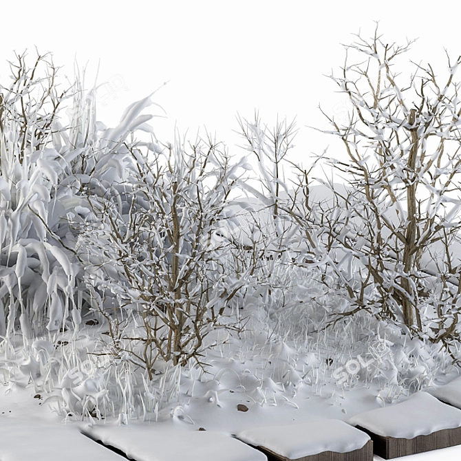 Winter Wonderland Garden Trees Set 3D model image 4