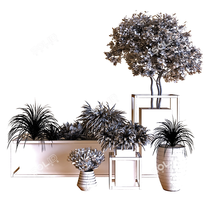 Exquisite Tree Set: 3DMax 2015, Vray & Corona Renderer, OBJ, 1.1M Polygons 3D model image 5