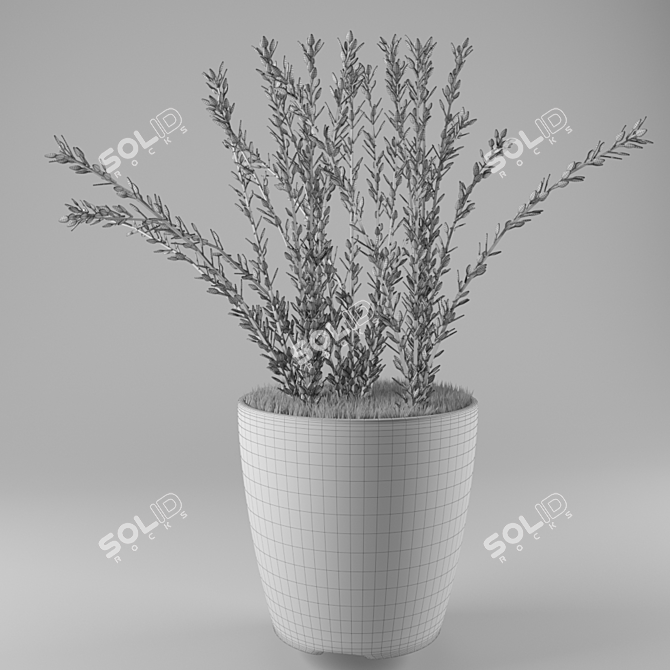 White Ceramic Lavender: Stunning 3D Model 3D model image 2