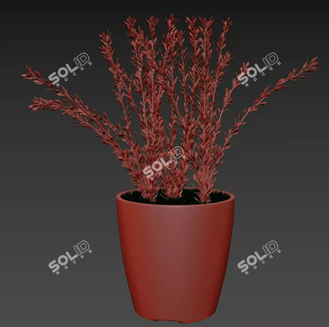 White Ceramic Lavender: Stunning 3D Model 3D model image 3