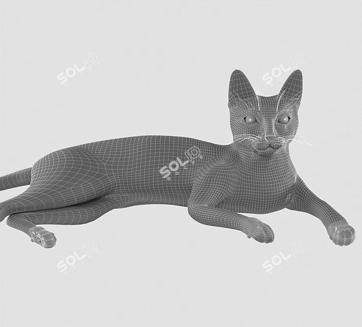 BengalCat: Hair & Fur, 2014 Version 3D model image 3