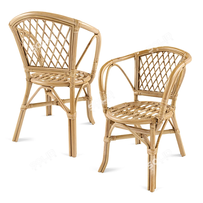 Rustic Rattan Garden Armchair 3D model image 1