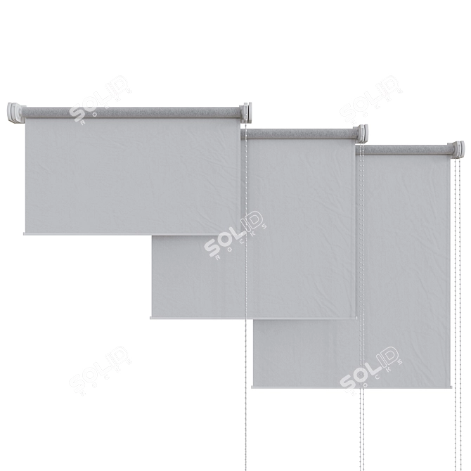 Adjustable Roller Blinds: Transparent and Blackout Options 3D model image 2