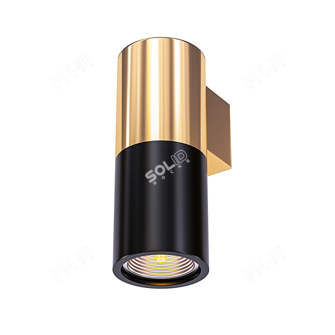 Black Copper Spot Sconce 3D model image 1