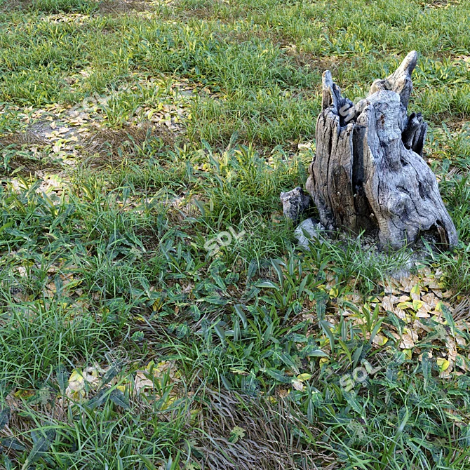 Natural Meadow with Plants & Stump 3D model image 1