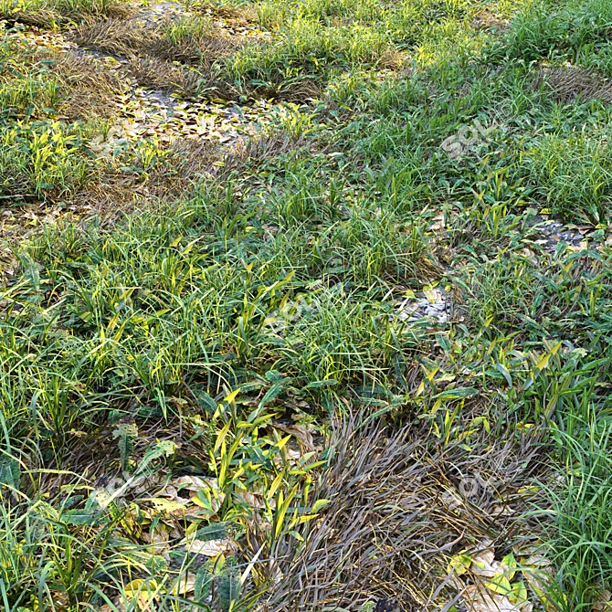 Natural Meadow with Plants & Stump 3D model image 2