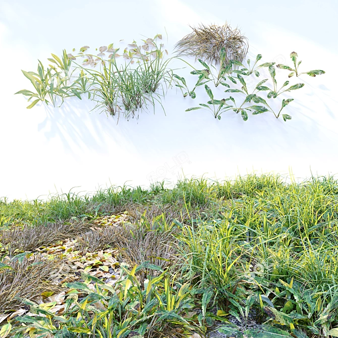 Natural Meadow with Plants & Stump 3D model image 7