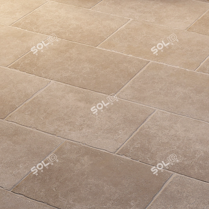 Gritstone Grunge Texture 3D model image 1