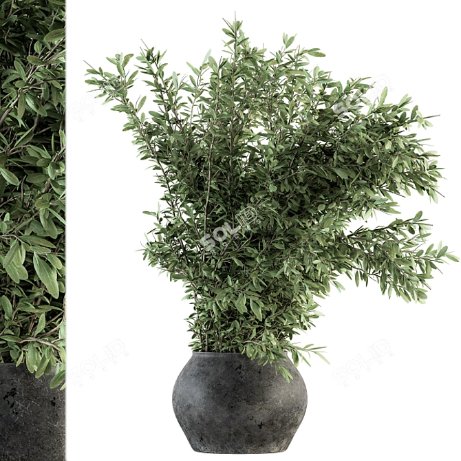 111-Piece Indoor Plant Set 3D model image 2