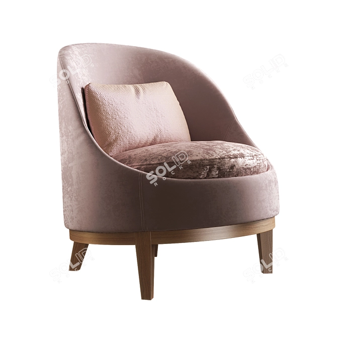 Elegant Belle Armchair by Piet Boon 3D model image 2